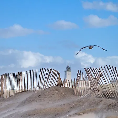 Wit 51 فندق مبيت وإفطار *