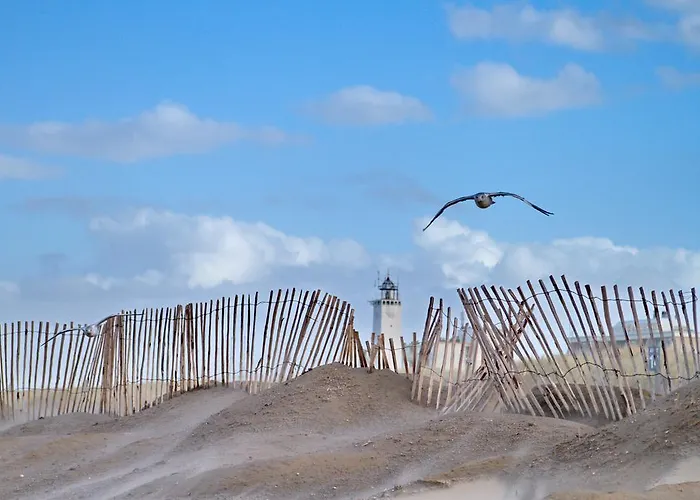 Wit 51 ベッド・アンド・ブレックファスト *